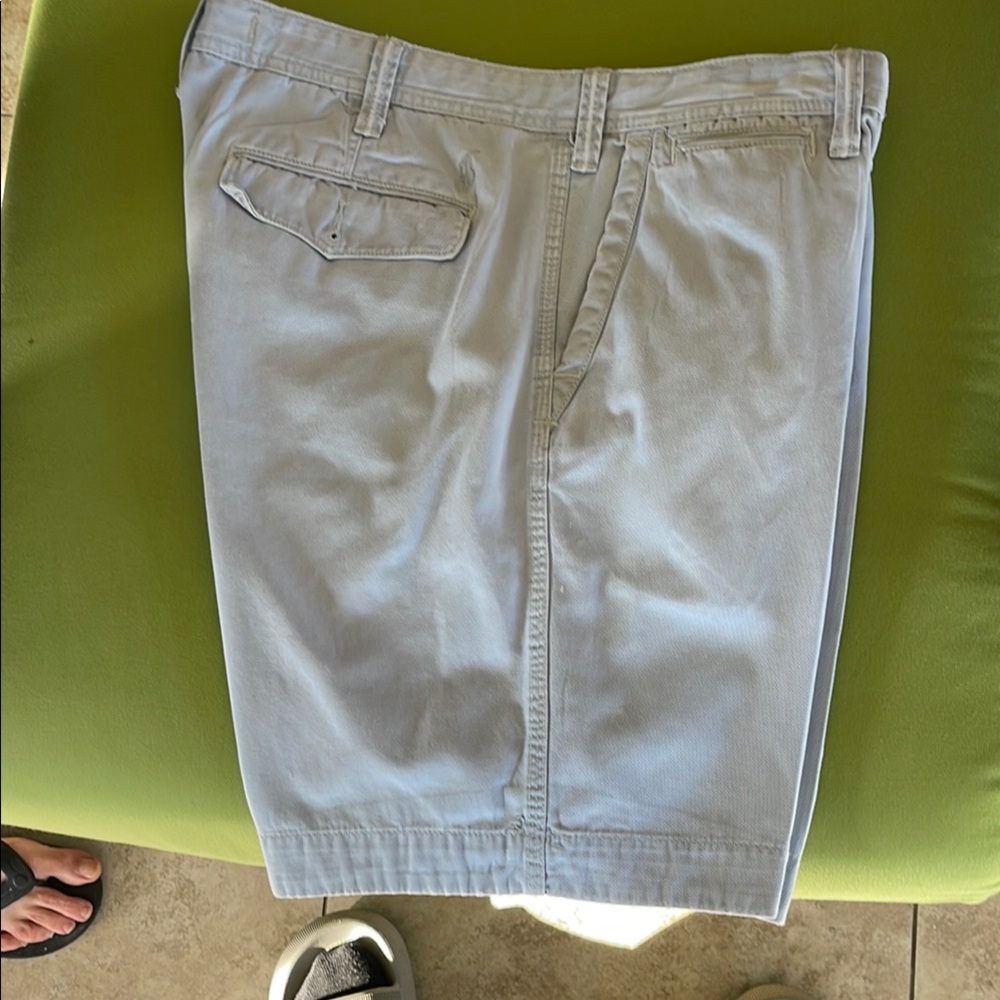 Polo by Ralph Lauren Blue Flat Front Shorts